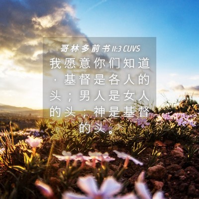 Picture 04 - 哥 林 多 前 书 11:3 CUVS - 我 愿 意 你 们 知 道 ， 基 督 是 各 - Bible Verse Picture