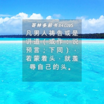 Picture 04 - 哥 林 多 前 书 11:4 CUVS - 凡 男 人 祷 告 或 是 讲 道 （ 或 作 - Bible Verse Picture