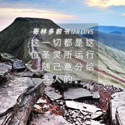 Picture 04 - 哥 林 多 前 书 12:11 CUVS - 这 一 切 都 是 这 位 圣 灵 所 运 行 - Bible Verse Picture