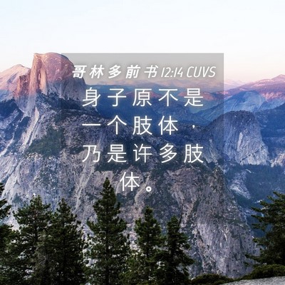 Picture 04 - 哥 林 多 前 书 12:14 CUVS - 身 子 原 不 是 一 个 肢 体 ， 乃 是 - Bible Verse Picture