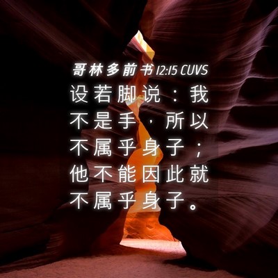 Picture 04 - 哥 林 多 前 书 12:15 CUVS - 设 若 脚 说 ： 我 不 是 手 ， 所 以 - Bible Verse Picture