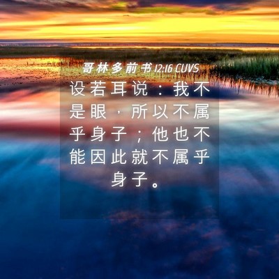 Picture 04 - 哥 林 多 前 书 12:16 CUVS - 设 若 耳 说 ： 我 不 是 眼 ， 所 以 - Bible Verse Picture
