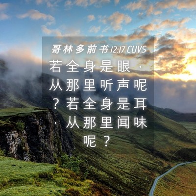 Picture 04 - 哥 林 多 前 书 12:17 CUVS - 若 全 身 是 眼 ， 从 那 里 听 声 呢 - Bible Verse Picture