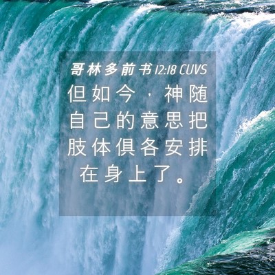 Picture 04 - 哥 林 多 前 书 12:18 CUVS - 但 如 今 ， 神 随 自 己 的 意 思 把 - Bible Verse Picture