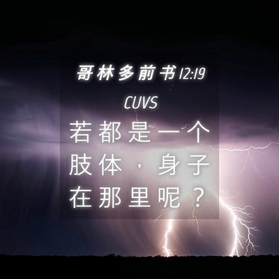 Picture 04 - 哥 林 多 前 书 12:19 CUVS - 若 都 是 一 个 肢 体 ， 身 子 在 那 - Bible Verse Picture