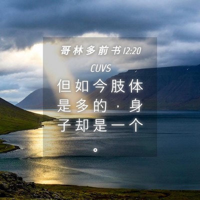 Picture 04 - 哥 林 多 前 书 12:20 CUVS - 但 如 今 肢 体 是 多 的 ， 身 子 却 - Bible Verse Picture