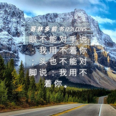 Picture 04 - 哥 林 多 前 书 12:21 CUVS - 眼 不 能 对 手 说 ： 我 用 不 着 你 - Bible Verse Picture
