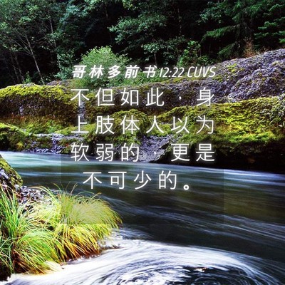 Picture 04 - 哥 林 多 前 书 12:22 CUVS - 不 但 如 此 ， 身 上 肢 体 人 以 为 - Bible Verse Picture