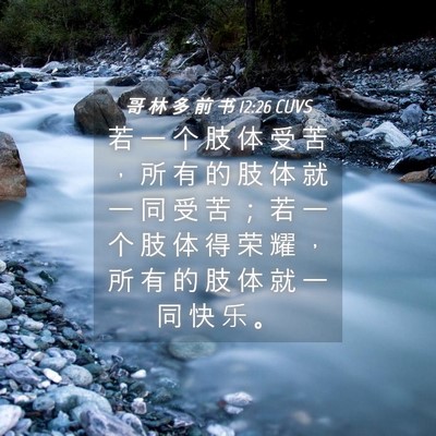 Picture 04 - 哥 林 多 前 书 12:26 CUVS - 若 一 个 肢 体 受 苦 ， 所 有 的 肢 - Bible Verse Picture