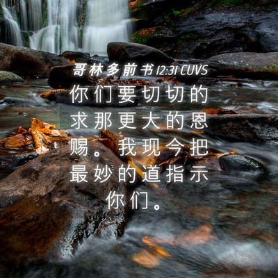 Picture 04 - 哥 林 多 前 书 12:31 CUVS - 你 们 要 切 切 的 求 那 更 大 的 恩 - Bible Verse Picture