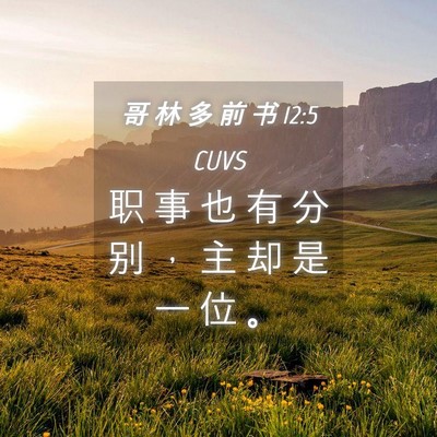 Picture 04 - 哥 林 多 前 书 12:5 CUVS - 职 事 也 有 分 别 ， 主 却 是 一 位 - Bible Verse Picture