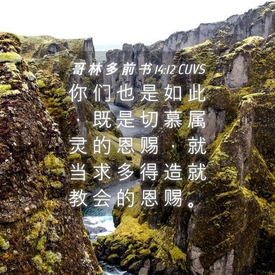 Picture 04 - 哥 林 多 前 书 14:12 CUVS - 你 们 也 是 如 此 ， 既 是 切 慕 属 - Bible Verse Picture