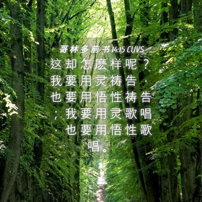 Picture 04 - 哥 林 多 前 书 14:15 CUVS - 这 却 怎 麽 样 呢 ？ 我 要 用 灵 祷 - Bible Verse Picture
