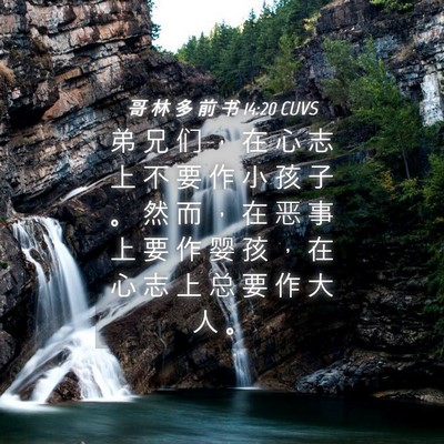 Picture 04 - 哥 林 多 前 书 14:20 CUVS - 弟 兄 们 ， 在 心 志 上 不 要 作 小 - Bible Verse Picture