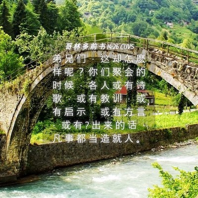 Picture 04 - 哥 林 多 前 书 14:26 CUVS - 弟 兄 们 ， 这 却 怎 麽 样 呢 ？ 你 - Bible Verse Picture