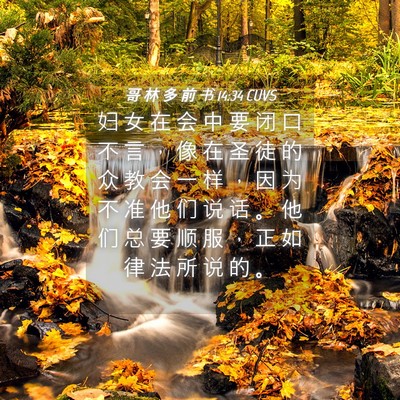 Picture 04 - 哥 林 多 前 书 14:34 CUVS - 妇 女 在 会 中 要 闭 口 不 言 ， 像 - Bible Verse Picture