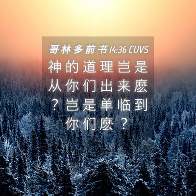 Picture 04 - 哥 林 多 前 书 14:36 CUVS - 神 的 道 理 岂 是 从 你 们 出 来 麽 - Bible Verse Picture