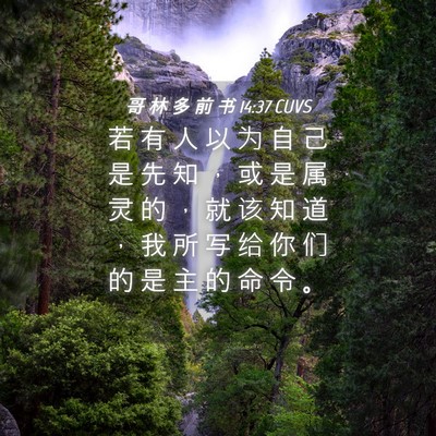 Picture 04 - 哥 林 多 前 书 14:37 CUVS - 若 有 人 以 为 自 己 是 先 知 ， 或 - Bible Verse Picture
