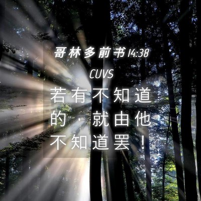 Picture 04 - 哥 林 多 前 书 14:38 CUVS - 若 有 不 知 道 的 ， 就 由 他 不 知 - Bible Verse Picture