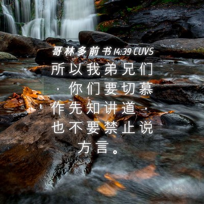 Picture 04 - 哥 林 多 前 书 14:39 CUVS - 所 以 我 弟 兄 们 ， 你 们 要 切 慕 - Bible Verse Picture