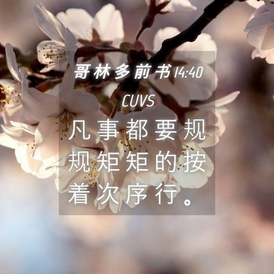 Picture 04 - 哥 林 多 前 书 14:40 CUVS - 凡 事 都 要 规 规 矩 矩 的 按 着 次 - Bible Verse Picture