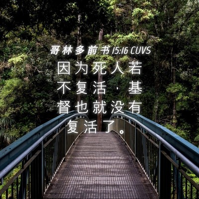 Picture 04 - 哥 林 多 前 书 15:16 CUVS - 因 为 死 人 若 不 复 活 ， 基 督 也 - Bible Verse Picture