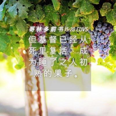 Picture 04 - 哥 林 多 前 书 15:20 CUVS - 但 基 督 已 经 从 死 里 复 活 ， 成 - Bible Verse Picture