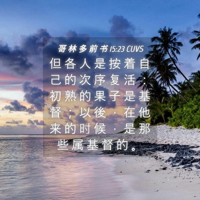 Picture 04 - 哥 林 多 前 书 15:23 CUVS - 但 各 人 是 按 着 自 己 的 次 序 复 - Bible Verse Picture