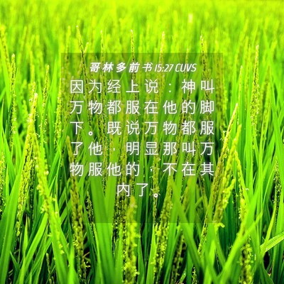 Picture 04 - 哥 林 多 前 书 15:27 CUVS - 因 为 经 上 说 ： 神 叫 万 物 都 服 - Bible Verse Picture