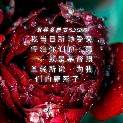 Picture 04 - 哥 林 多 前 书 15:3 CUVS - 我 当 日 所 领 受 又 传 给 你 们 的 - Bible Verse Picture