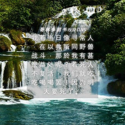 Picture 04 - 哥 林 多 前 书 15:32 CUVS - 我 若 当 日 像 寻 常 人 ， 在 以 弗 - Bible Verse Picture
