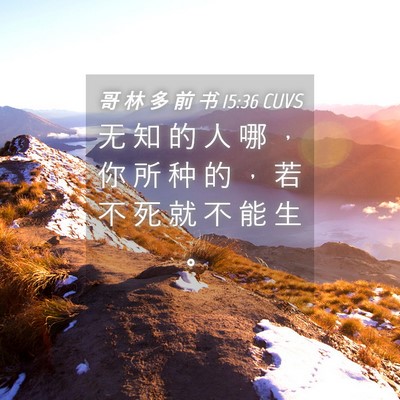 Picture 04 - 哥 林 多 前 书 15:36 CUVS - 无 知 的 人 哪 ， 你 所 种 的 ， 若 - Bible Verse Picture