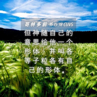 Picture 04 - 哥 林 多 前 书 15:38 CUVS - 但 神 随 自 己 的 意 思 给 他 一 个 - Bible Verse Picture