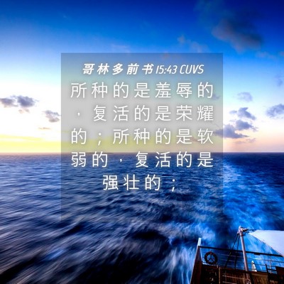 Picture 04 - 哥 林 多 前 书 15:43 CUVS - 所 种 的 是 羞 辱 的 ， 复 活 的 是 - Bible Verse Picture