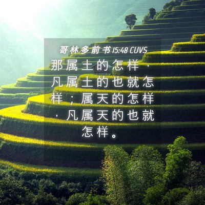 Picture 04 - 哥 林 多 前 书 15:48 CUVS - 那 属 土 的 怎 样 ， 凡 属 土 的 也 - Bible Verse Picture