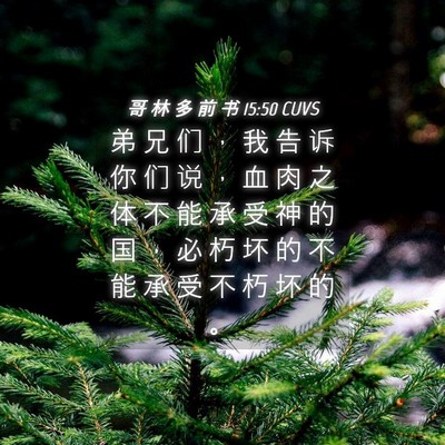 Picture 04 - 哥 林 多 前 书 15:50 CUVS - 弟 兄 们 ， 我 告 诉 你 们 说 ， 血 - Bible Verse Picture