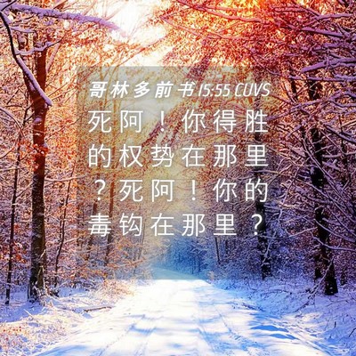 Picture 04 - 哥 林 多 前 书 15:55 CUVS - 死 阿 ！ 你 得 胜 的 权 势 在 那 里 - Bible Verse Picture