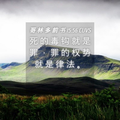 Picture 04 - 哥 林 多 前 书 15:56 CUVS - 死 的 毒 钩 就 是 罪 ， 罪 的 权 势 - Bible Verse Picture