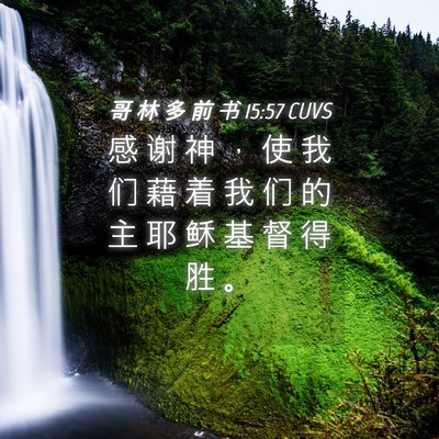 Picture 04 - 哥 林 多 前 书 15:57 CUVS - 感 谢 神 ， 使 我 们 藉 着 我 们 的 - Bible Verse Picture