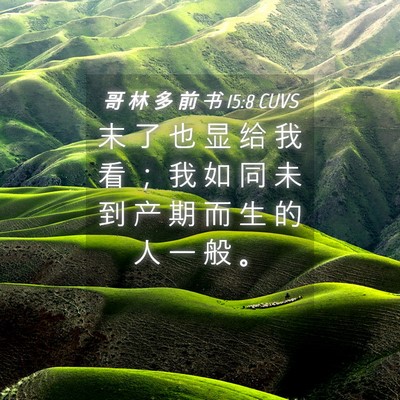 Picture 04 - 哥 林 多 前 书 15:8 CUVS - 末 了 也 显 给 我 看 ； 我 如 同 未 - Bible Verse Picture