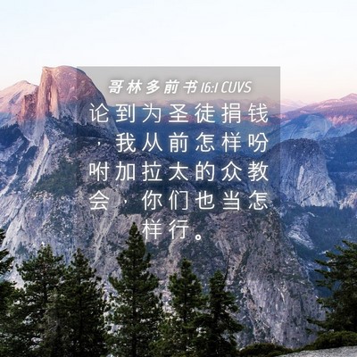 Picture 04 - 哥 林 多 前 书 16:1 CUVS - 论 到 为 圣 徒 捐 钱 ， 我 从 前 怎 - Bible Verse Picture