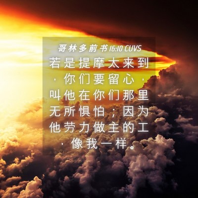 Picture 04 - 哥 林 多 前 书 16:10 CUVS - 若 是 提 摩 太 来 到 ， 你 们 要 留 - Bible Verse Picture