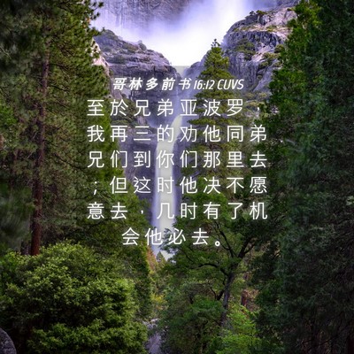 Picture 04 - 哥 林 多 前 书 16:12 CUVS - 至 於 兄 弟 亚 波 罗 ， 我 再 三 的 - Bible Verse Picture