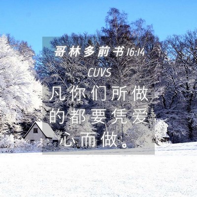 Picture 04 - 哥 林 多 前 书 16:14 CUVS - 凡 你 们 所 做 的 都 要 凭 爱 心 而 - Bible Verse Picture