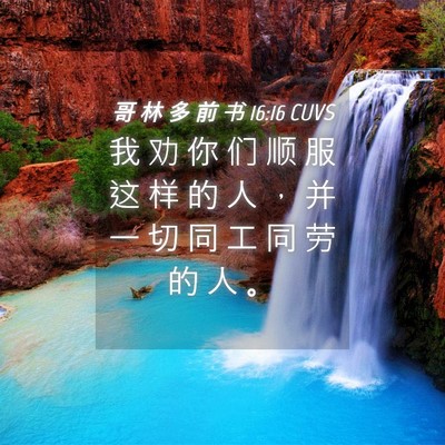 Picture 04 - 哥 林 多 前 书 16:16 CUVS - 我 劝 你 们 顺 服 这 样 的 人 ， 并 - Bible Verse Picture