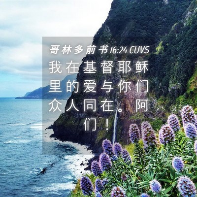 Picture 04 - 哥 林 多 前 书 16:24 CUVS - 我 在 基 督 耶 稣 里 的 爱 与 你 们 - Bible Verse Picture