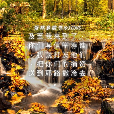 Picture 04 - 哥 林 多 前 书 16:3 CUVS - 及 至 我 来 到 了 ， 你 们 写 信 举 - Bible Verse Picture
