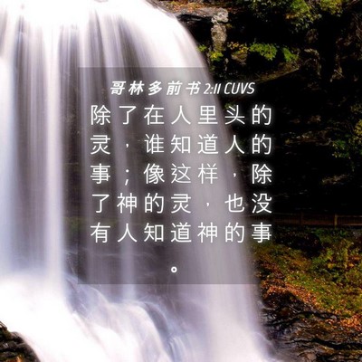 Picture 04 - 哥 林 多 前 书 2:11 CUVS - 除 了 在 人 里 头 的 灵 ， 谁 知 道 - Bible Verse Picture