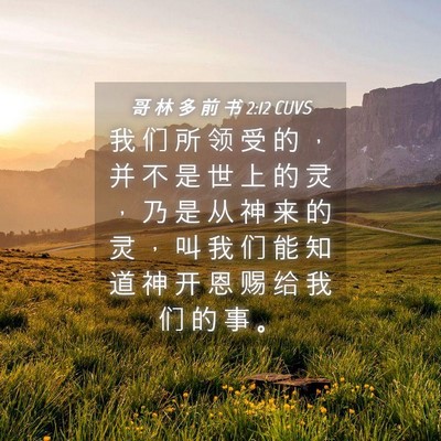 Picture 04 - 哥 林 多 前 书 2:12 CUVS - 我 们 所 领 受 的 ， 并 不 是 世 上 - Bible Verse Picture