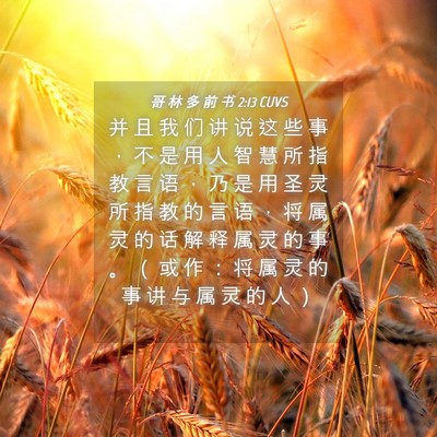 Picture 04 - 哥 林 多 前 书 2:13 CUVS - 并 且 我 们 讲 说 这 些 事 ， 不 是 - Bible Verse Picture